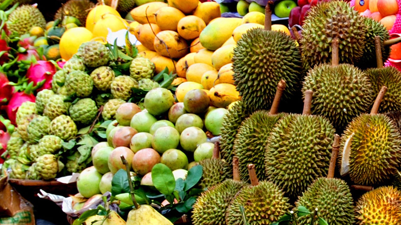 พาณิชย์' ยิ้มผักและผลไม้ไทยครองส่วนแบ่งตลาดอันดับหนึ่งในจีน