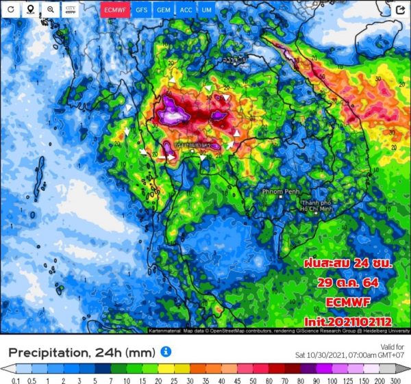 My Image 81