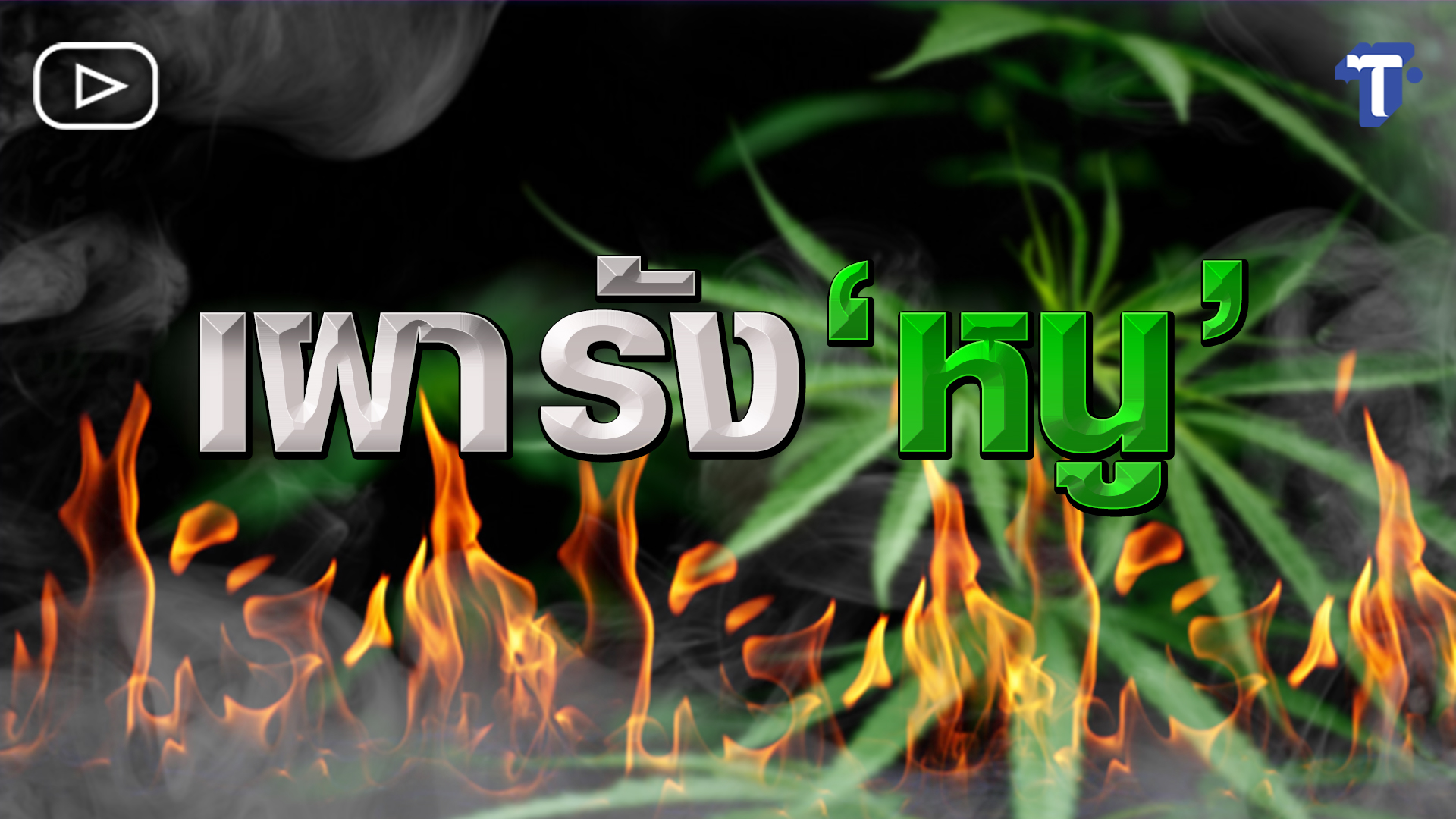 ห้องข่าวไทยโพสต์ : เผารัง “หนู”