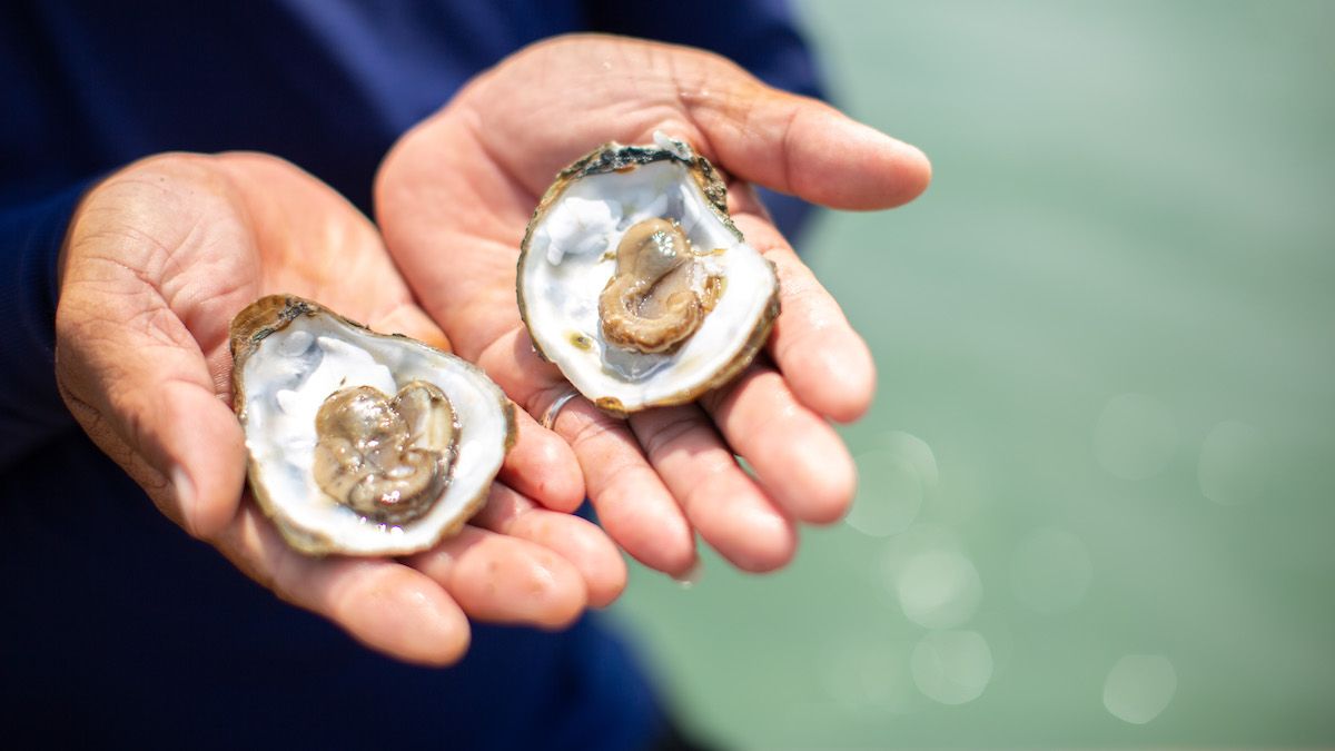 Aluno fudendo a professora