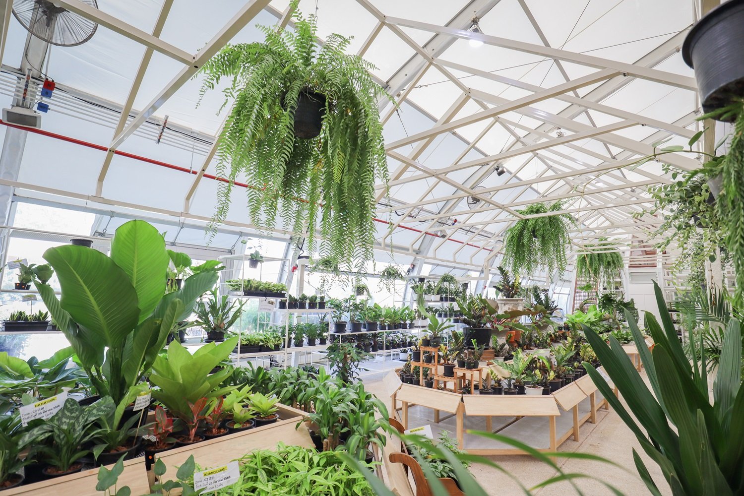 SAMA Garden: สวน 0 นาที สร้างพื้นที่สีเขียวใจกลางกรุงเทพฯ เปลี่ยนเมืองให้เป็น 'เมืองในสวน' อย่างยั่งยืน
