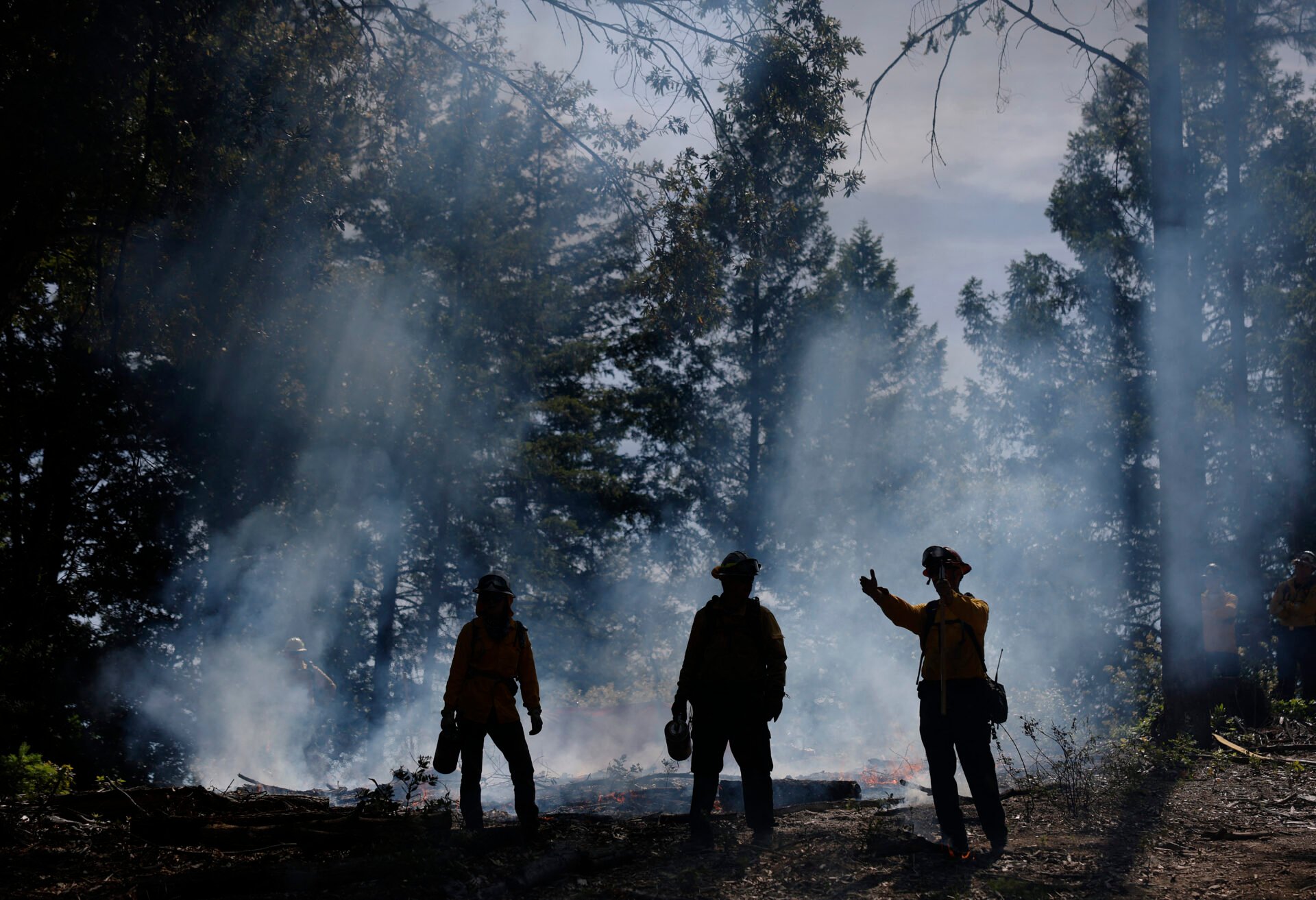Controlled Burns In California Aim To Mitigate Wildfire Spread