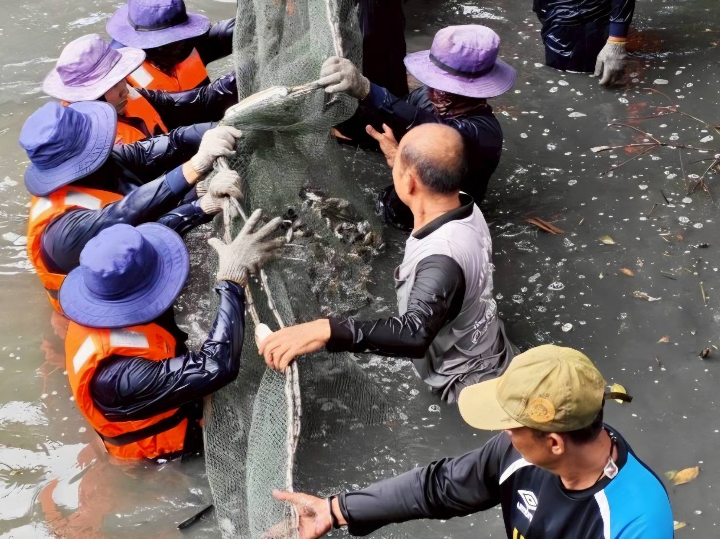 เก็บตกจากงานเสวนา...กรมประมงชี้ปลาหมอคางดําลดลงชัดเจน สะท้อนผลสําเร็จมาตรการบูรณาการทั่วประเทศ