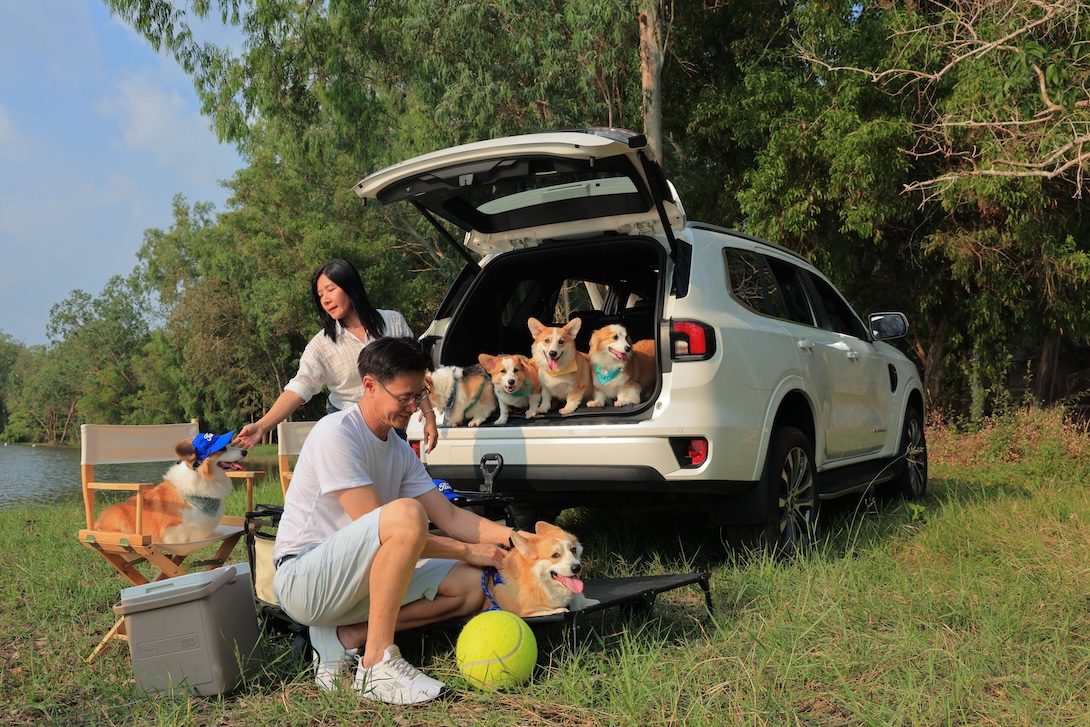 ฟอร์ด เอเวอเรสต์ แพลทินัม