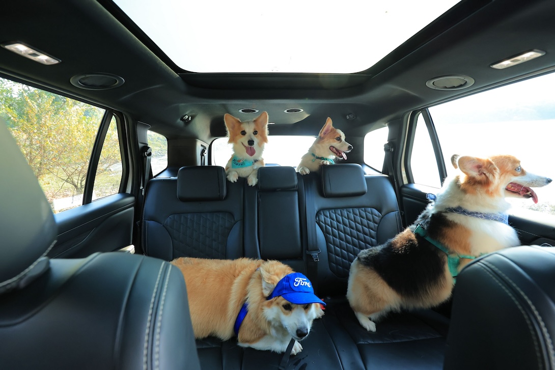 ฟอร์ด เอเวอเรสต์ แพลทินัม