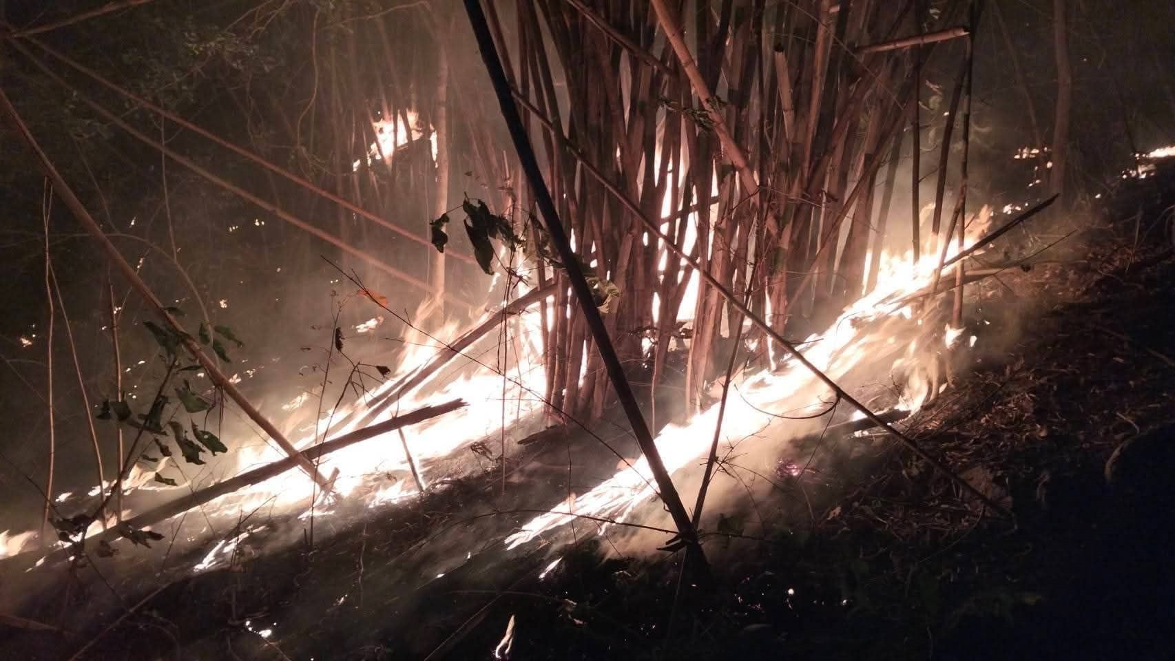 ผงะ! หัวหน้าอุทยานแห่งชาติแก่งกระจานเปิดหลักฐานเผาป่าล่ากระทิง