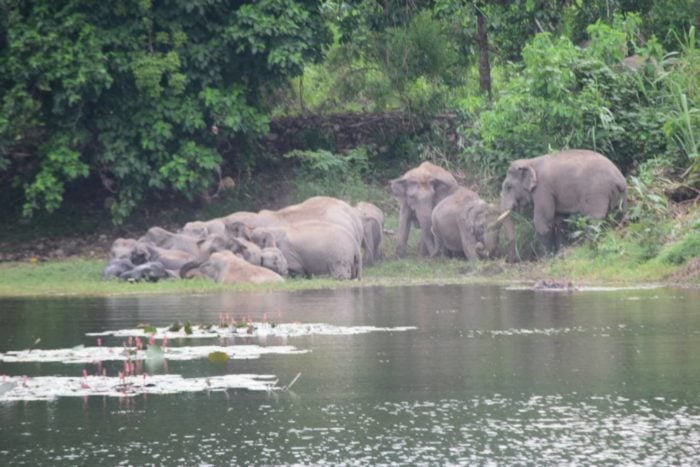 14 เม.ย. นี้ เที่ยวป่า-อุทยาน ฟรี รับวันครอบครัว