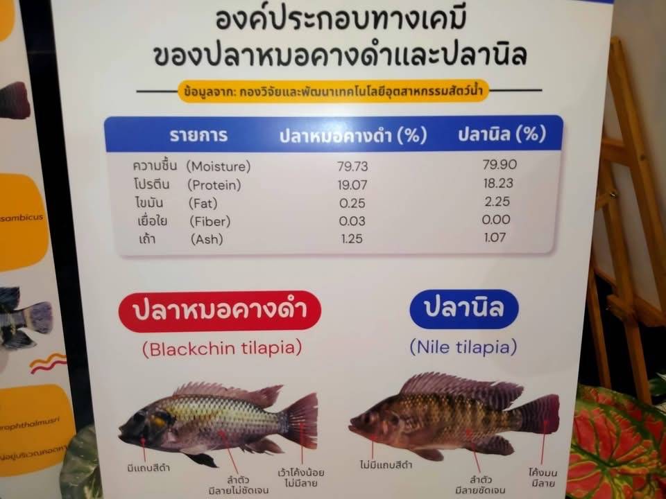 ยิ่งจับ ยิ่งลด ยิ่งคืนสมดุลแหล่งน้ำไทย