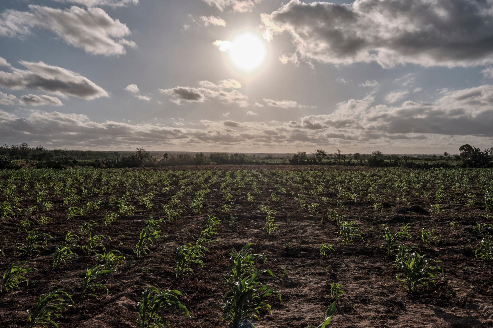 MADAGASCAR-POVERTY-WEATHER-CLIMATE-ENVIRONMENT